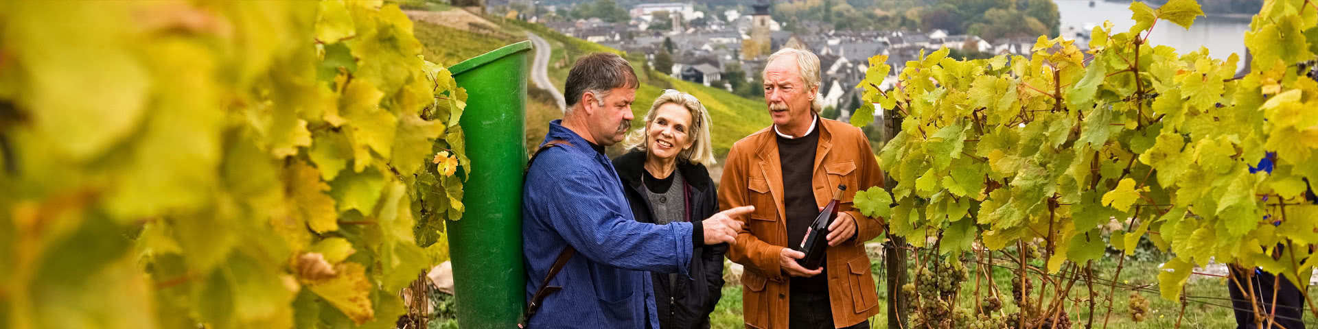 Pärchen bekommt eine Führung von einem Weinleser durch einen Weinberg in Cochem