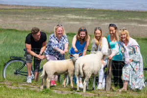 Eine Gruppe von 6 Personen steht am Deich un d füttert zwei Schafe