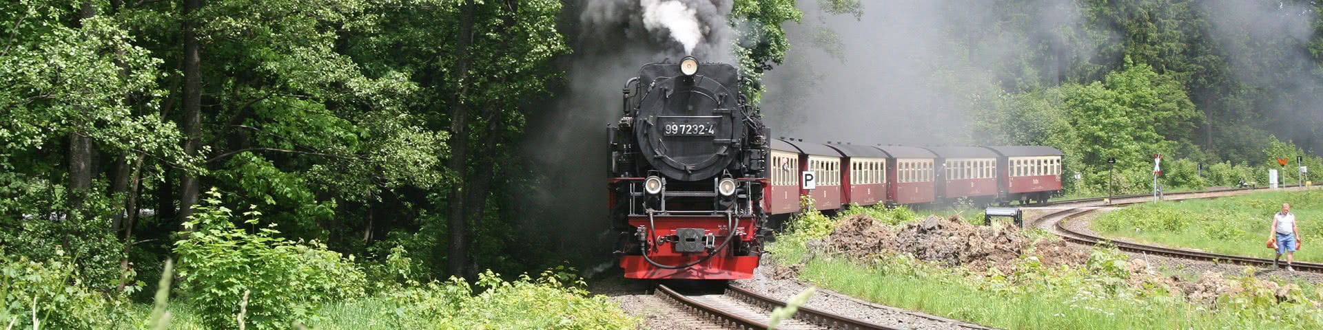 Schmalspurbahn in Wernigerode